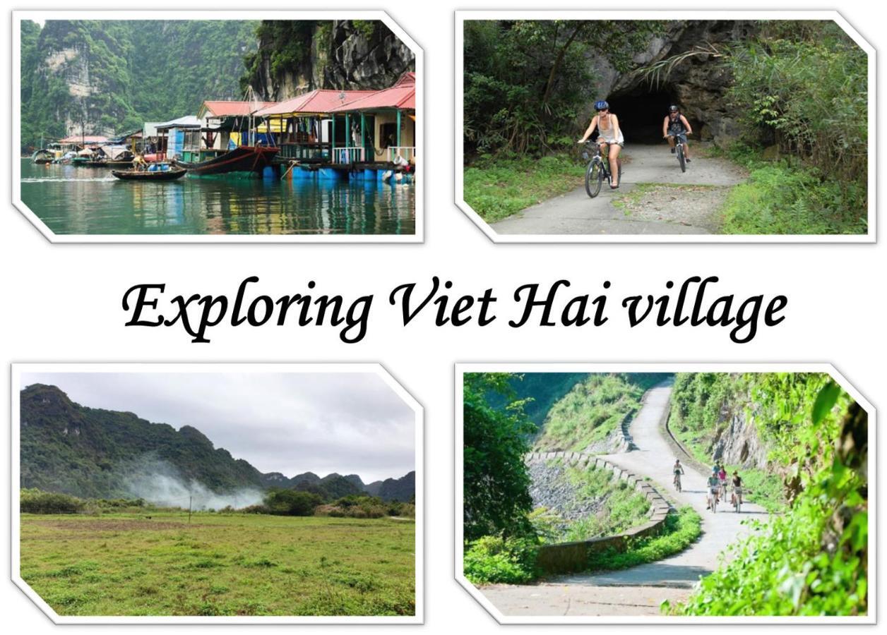 Domik Homestay - Cat Ba Dong Khe Sau Екстер'єр фото